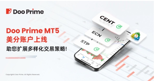 Doo Prime德璞资本 MT5 美分账户介绍