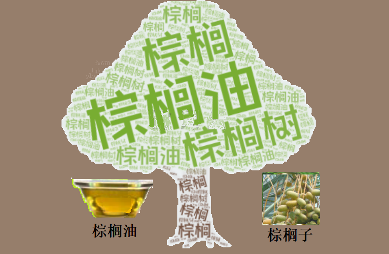 棕榈油周线二连阳，库存压力与政策预期激烈博弈