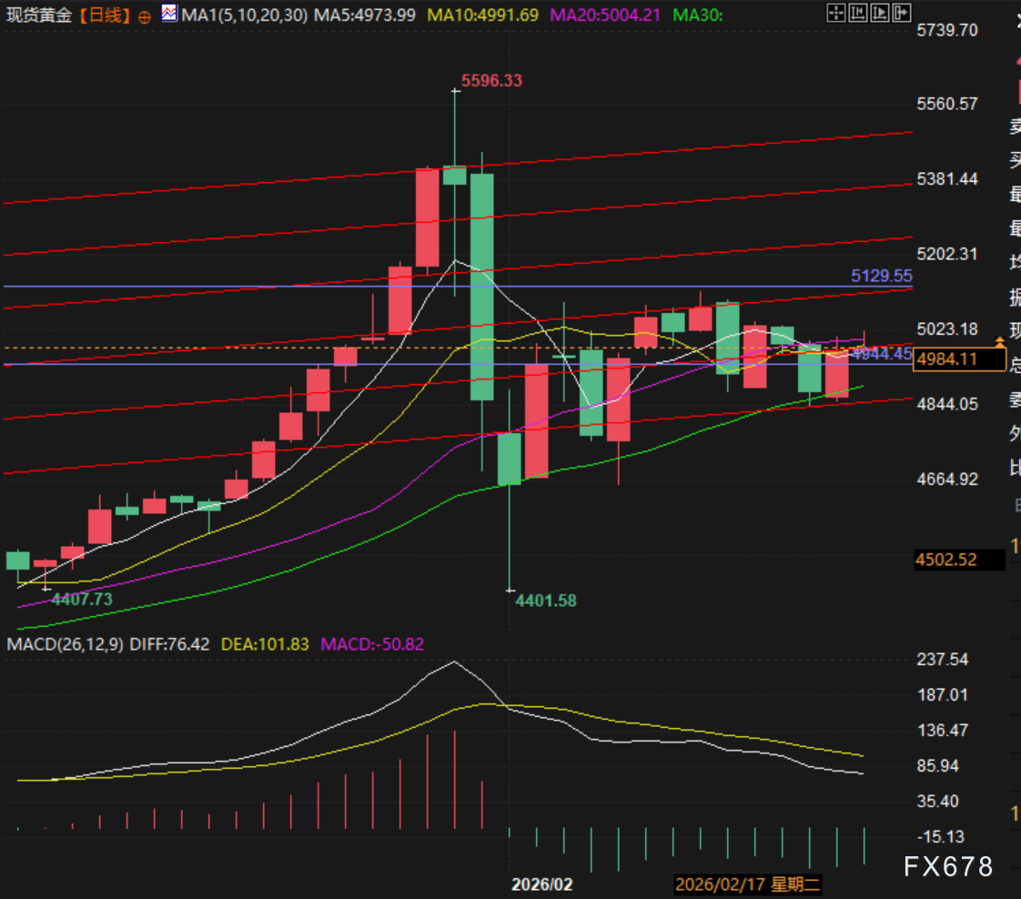 美元黄金罕见同涨，黄金火力全开还是强弩之末？